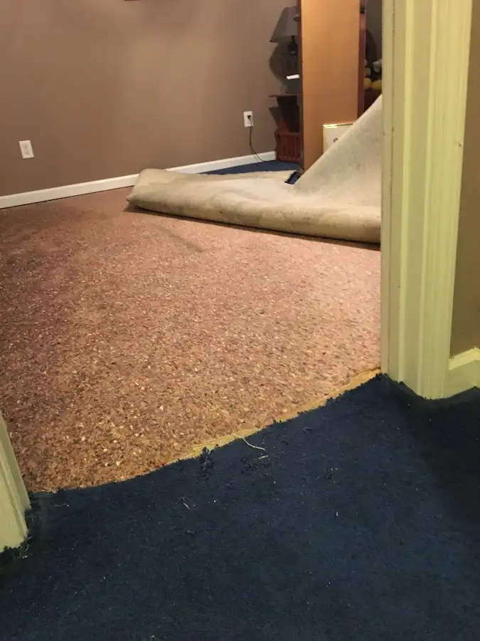 Carpet pad removal revealing water damage during Drying & Dehumidification in Woods Creek
