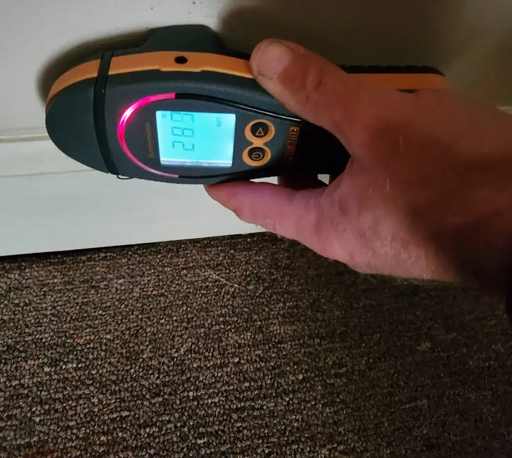 Moisture detection at baseboard during Mold Inspection & Testing in Woods Creek